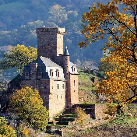 Bed and breakfast Chateau La Servayrie - D'hotes Marcillac-Vallon