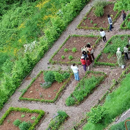 Couette-café Chateau La Servayrie - D'hôtes